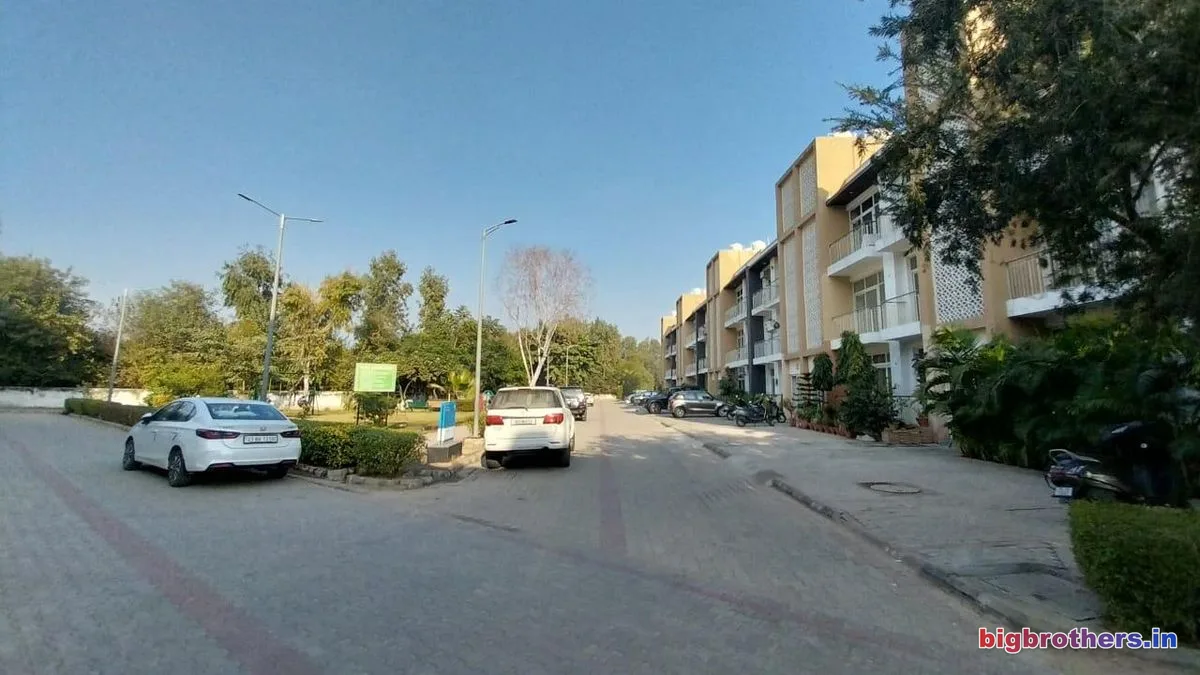 Wave Estate